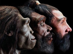 Human-origins